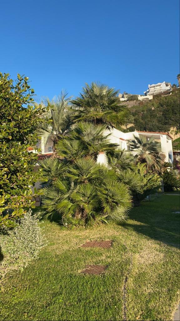 Casa Margherita Ischia Forio (Isola d'Ischia) Exterior foto